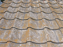 セメント瓦の劣化