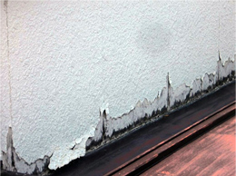 外壁塗膜の暴露